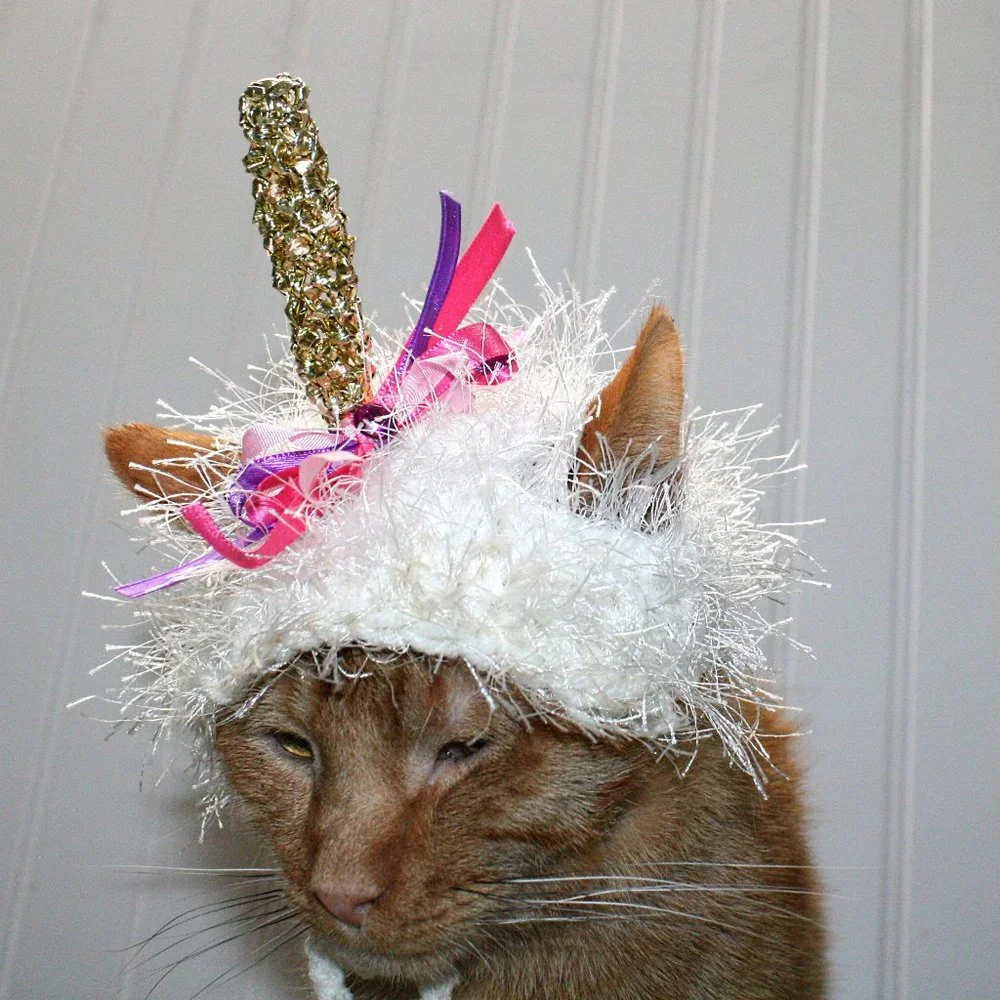 HAND CRAFTED Unicorn Cat Hat Crochet Hairy Wig Costume Photo Prop